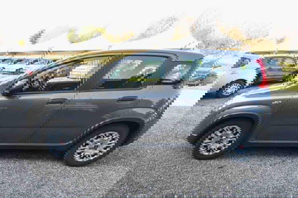 Fiat Panda usata a Torino (9)
