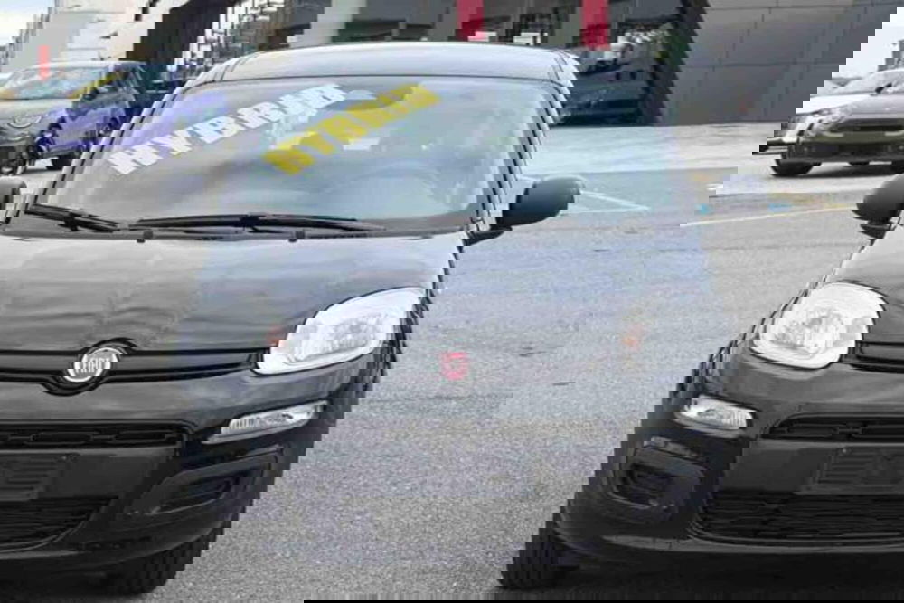 Fiat Panda nuova a Torino (2)