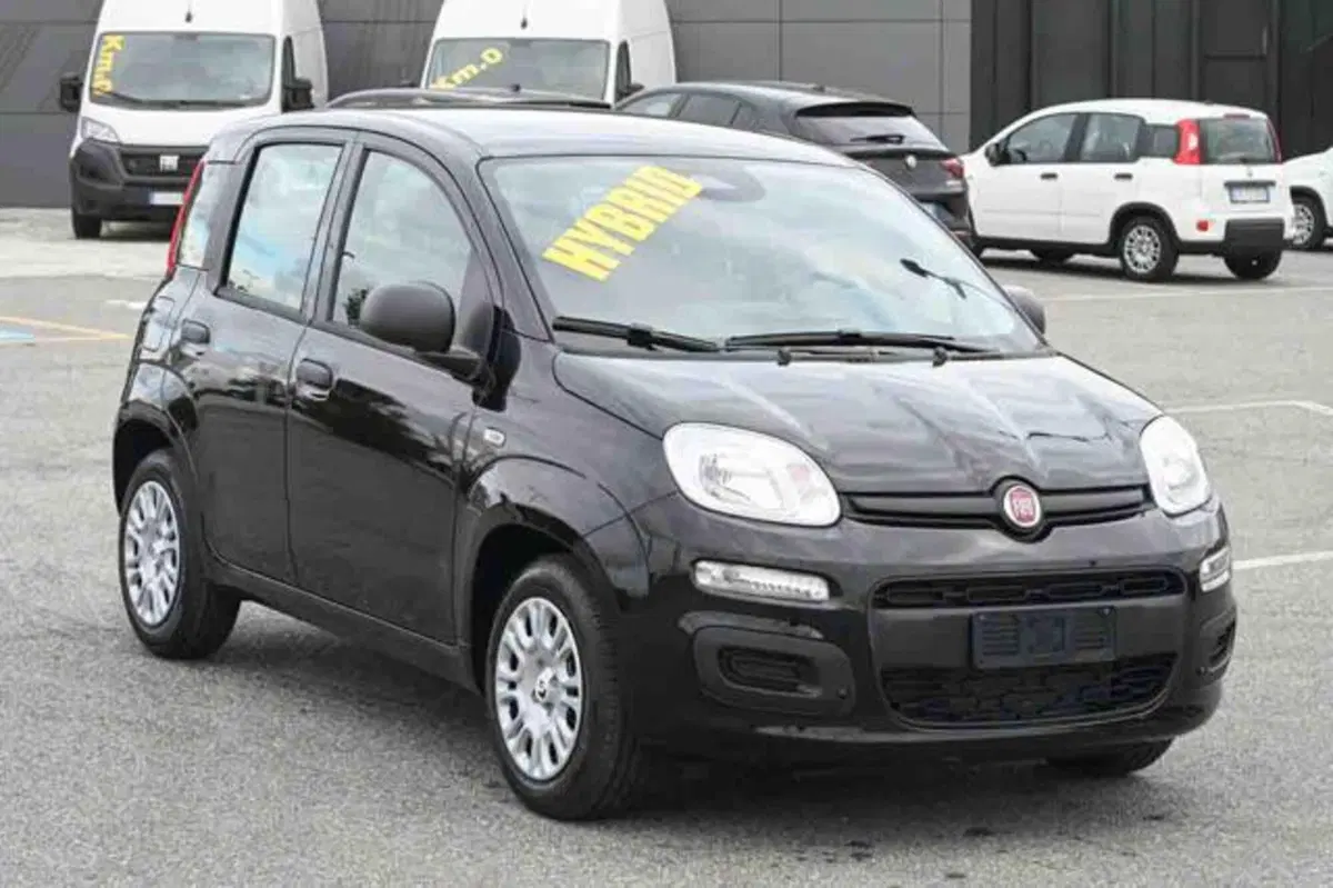 Fiat Panda nuova a Torino (3)