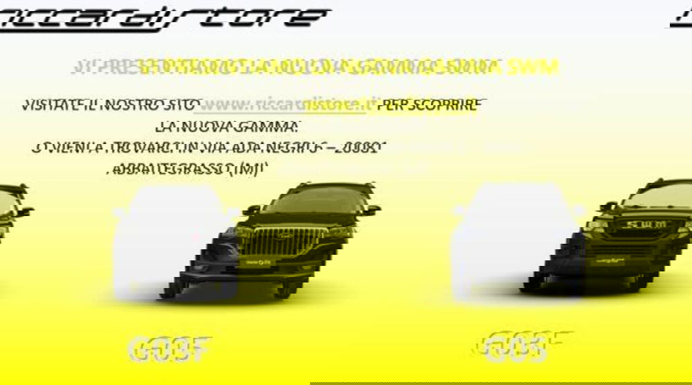 SWM G03F usata a Milano (19)