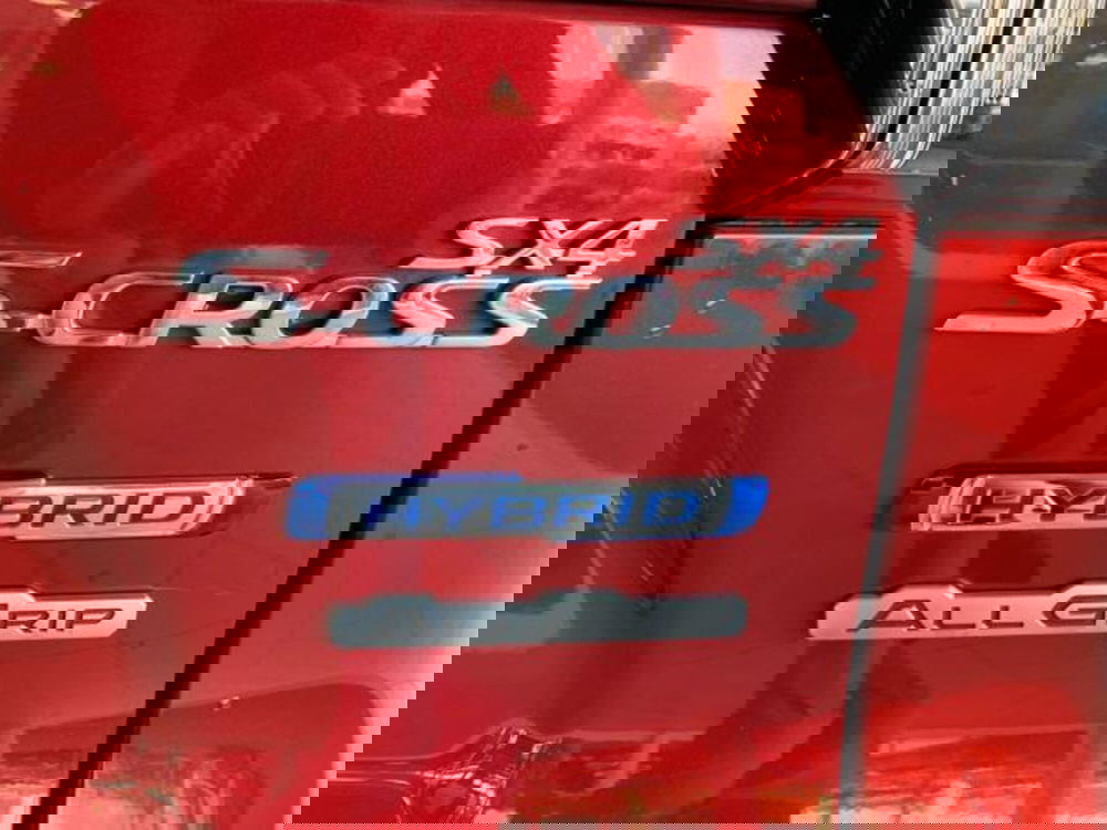 Suzuki S-Cross usata a Trieste (20)