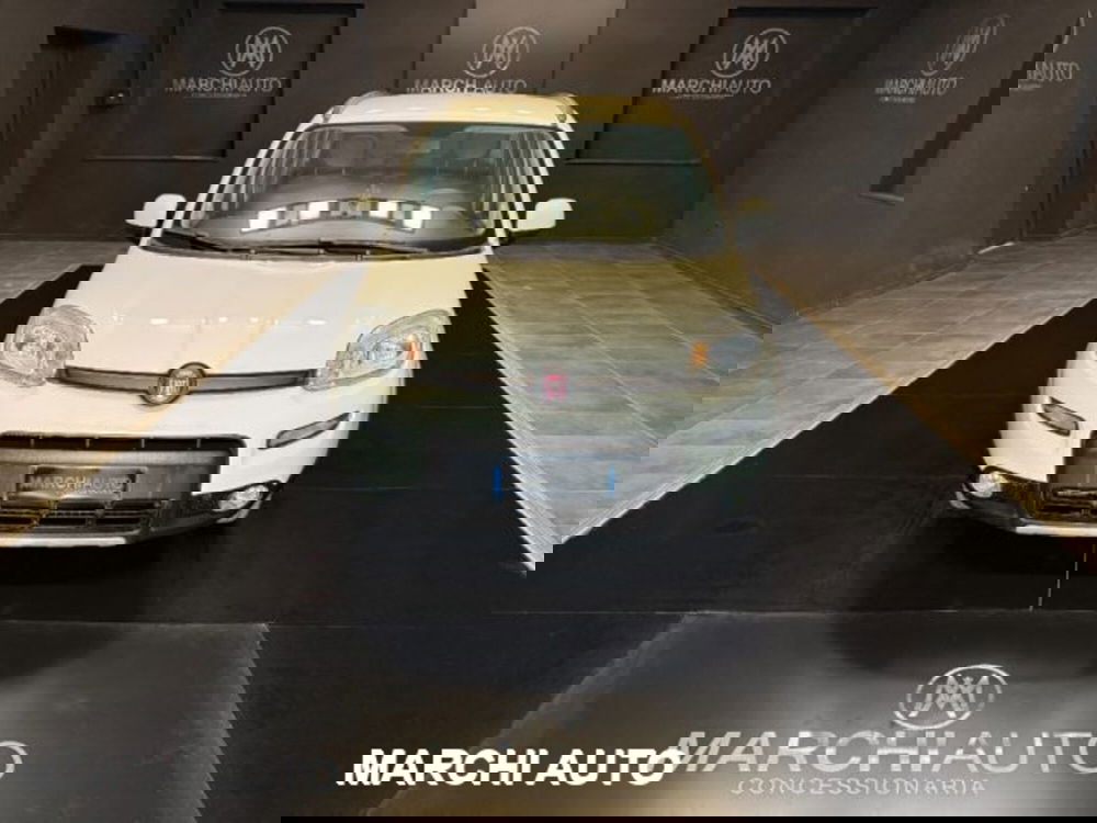 Fiat Panda usata a Perugia (2)