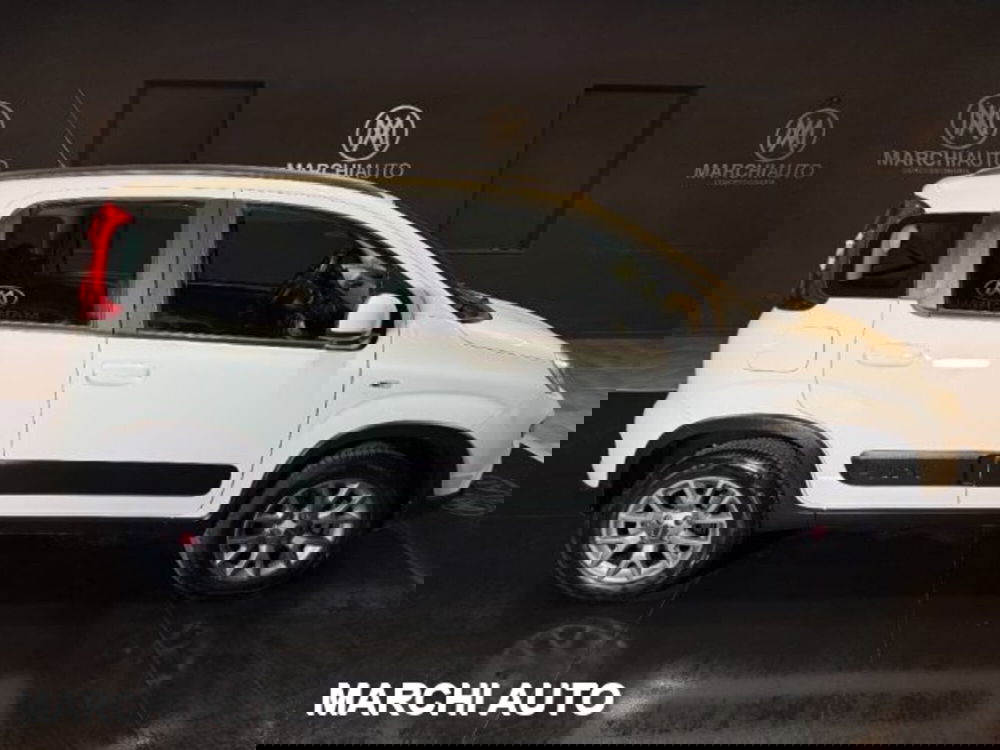 Fiat Panda usata a Perugia (4)