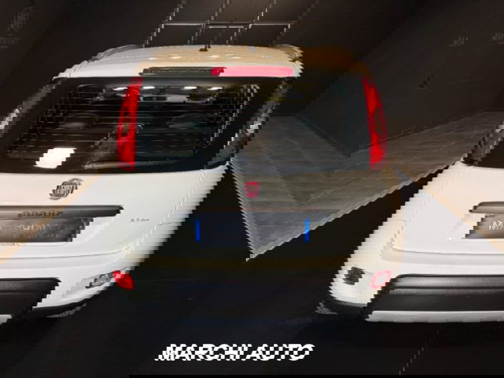 Fiat Panda usata a Perugia (6)