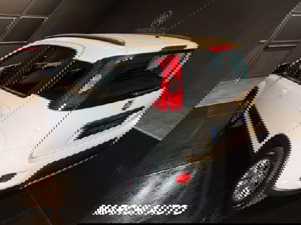 Fiat Panda usata a Perugia (7)