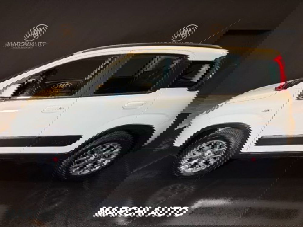 Fiat Panda usata a Perugia (8)