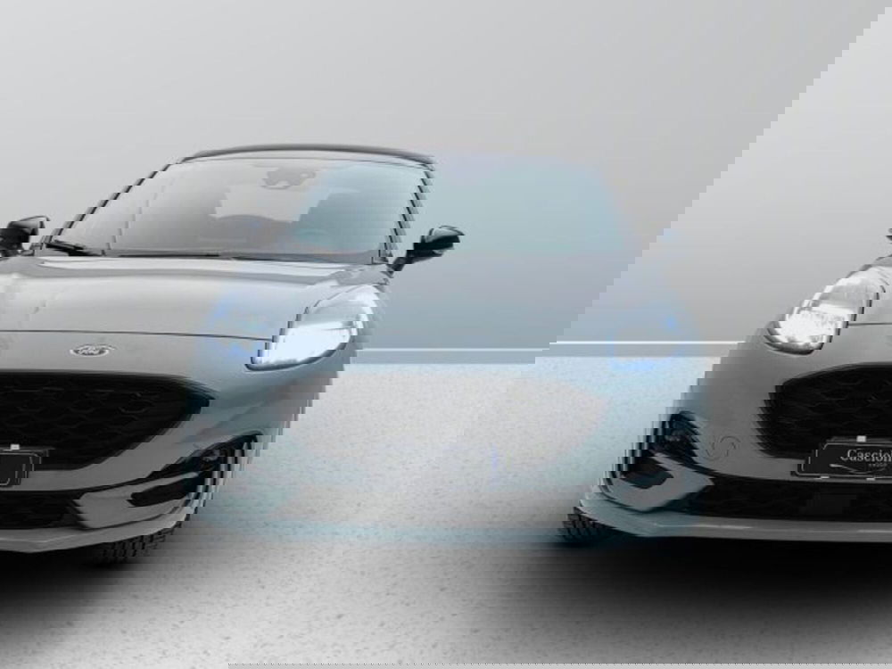 Ford Puma usata a Teramo (2)