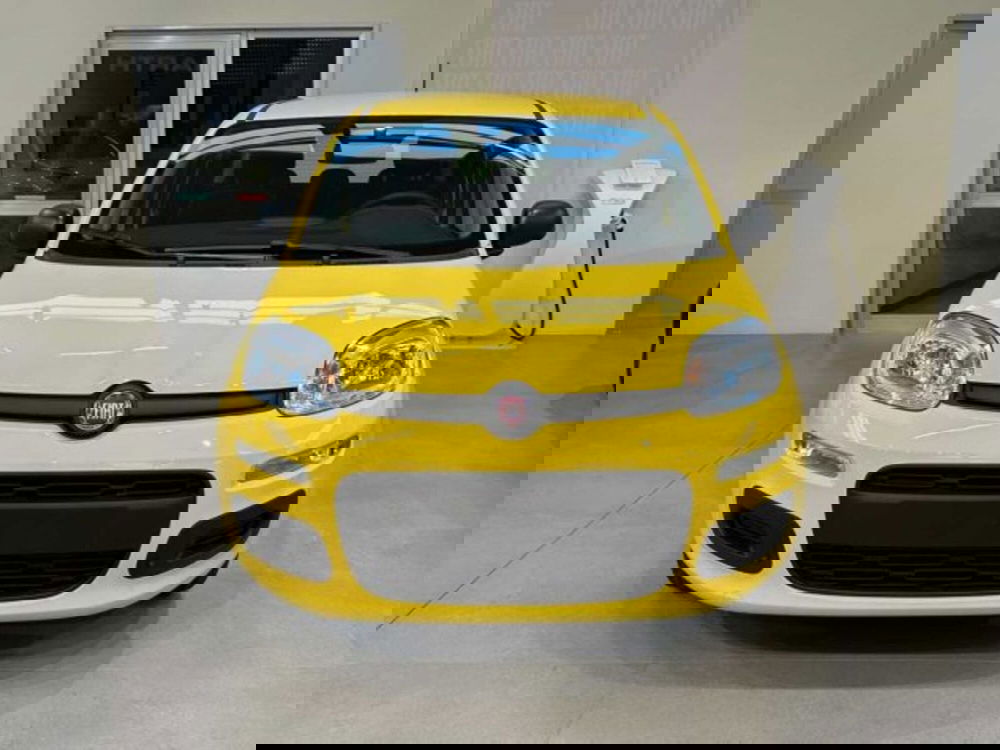 Fiat Panda nuova a Sondrio (8)