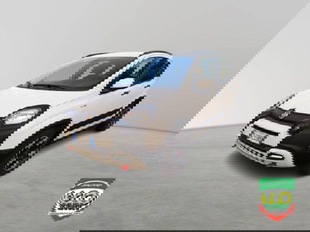 Fiat Panda Cross usata a Frosinone