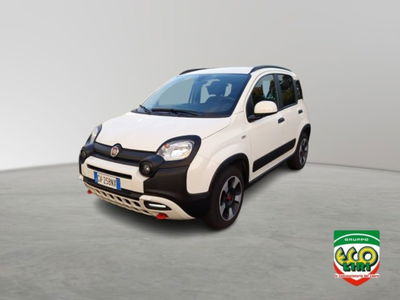 Fiat Panda Cross 1.0 firefly hybrid Cross s&amp;s 70cv 5p.ti del 2024 usata a San Giorgio a Liri