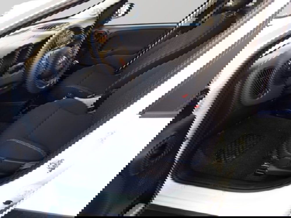 Fiat Panda Cross usata a Frosinone (11)