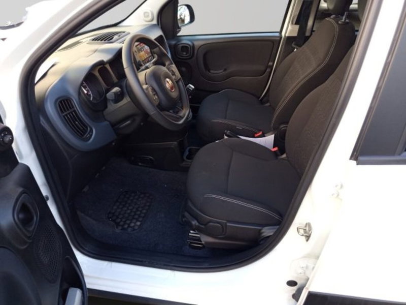 Fiat Panda Cross usata a Frosinone (9)