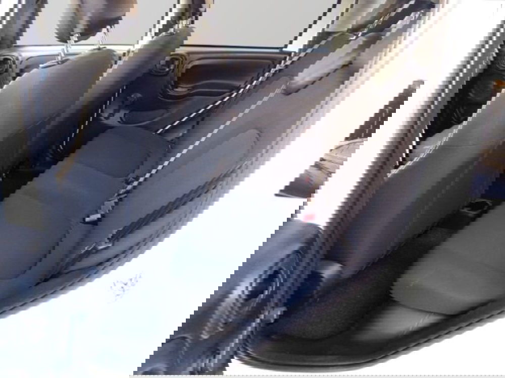 Fiat Panda Cross usata a Frosinone (12)