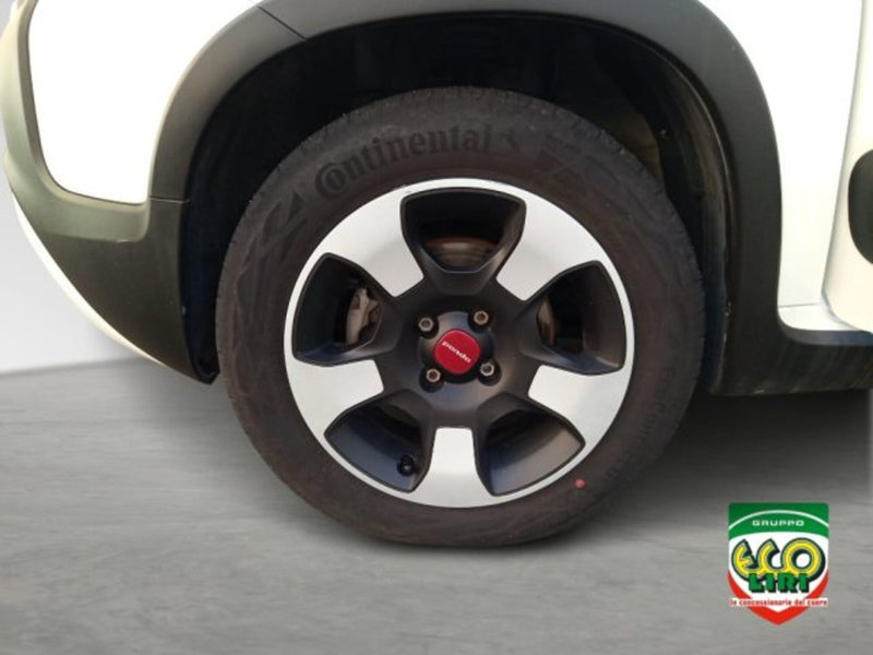 Fiat Panda Cross usata a Frosinone (11)
