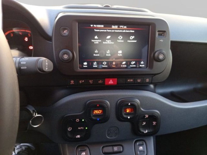 Fiat Panda Cross usata a Frosinone (13)