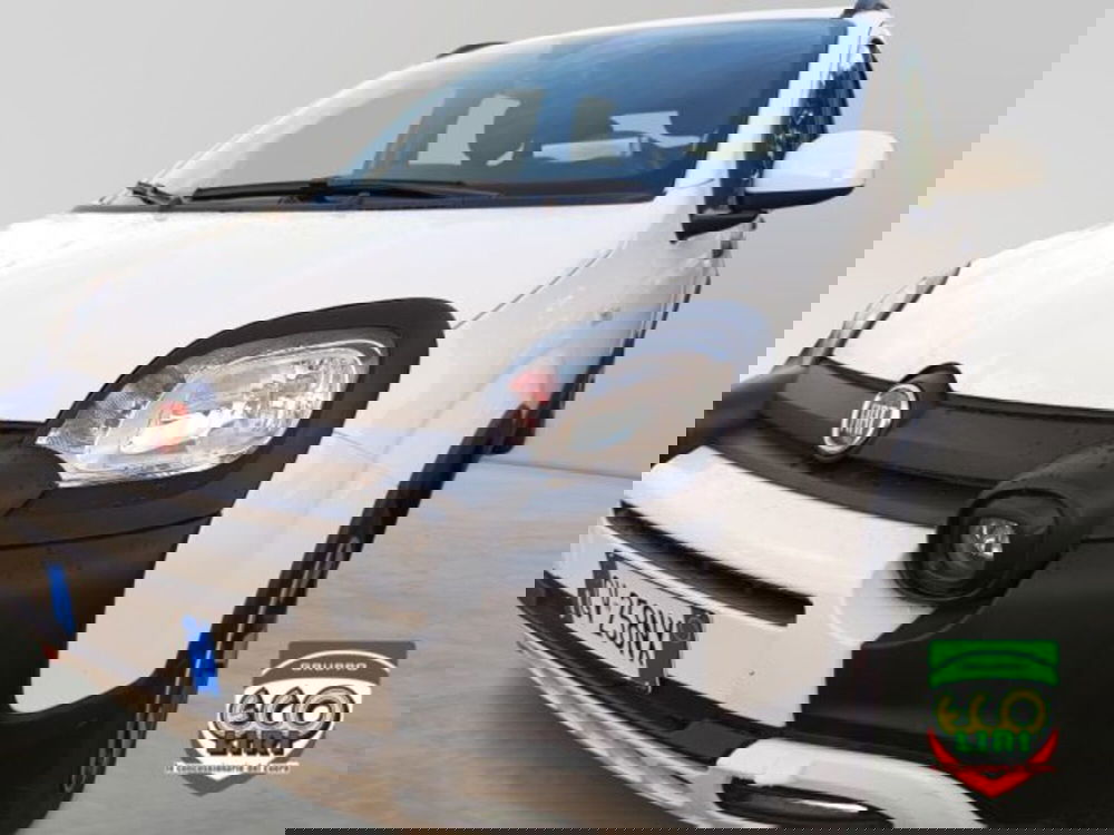 Fiat Panda Cross usata a Frosinone (16)