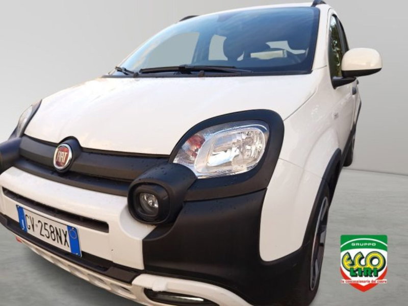 Fiat Panda Cross usata a Frosinone (14)