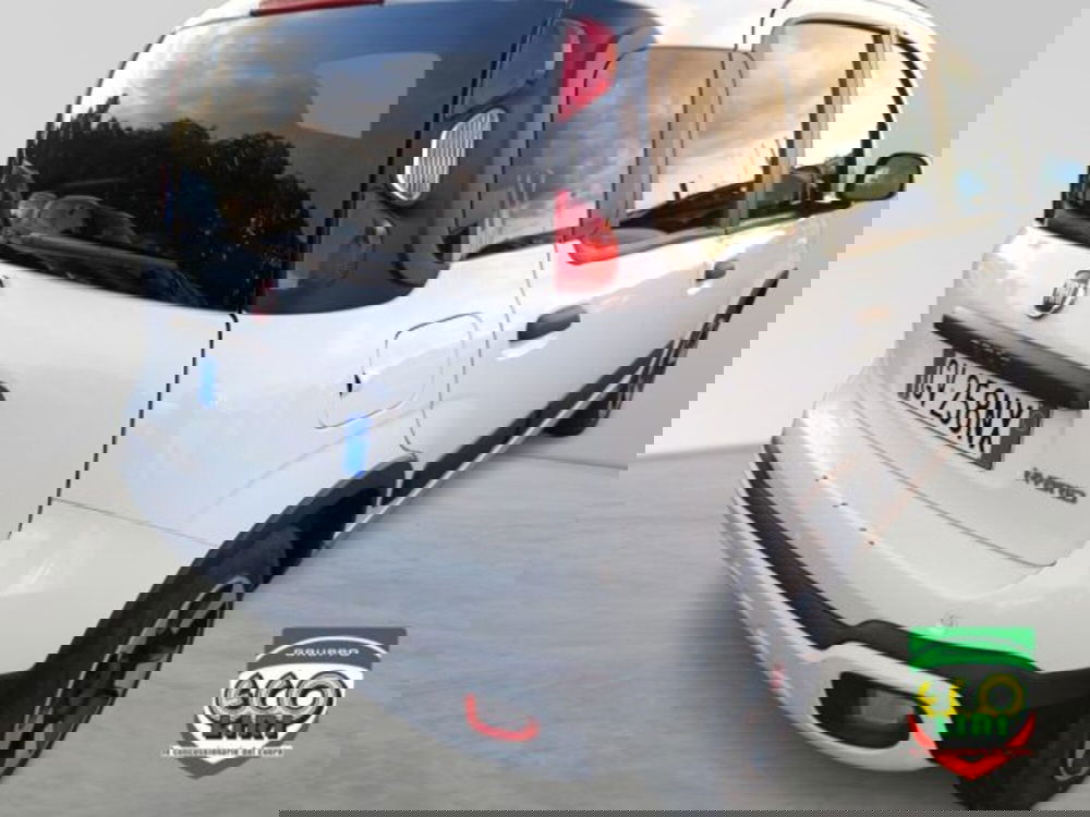 Fiat Panda Cross usata a Frosinone (17)