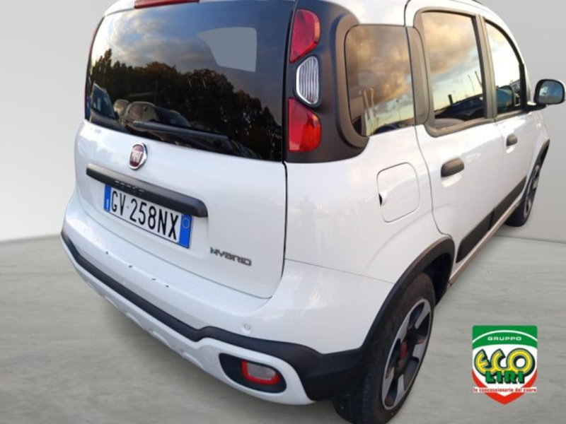 Fiat Panda Cross usata a Frosinone (15)