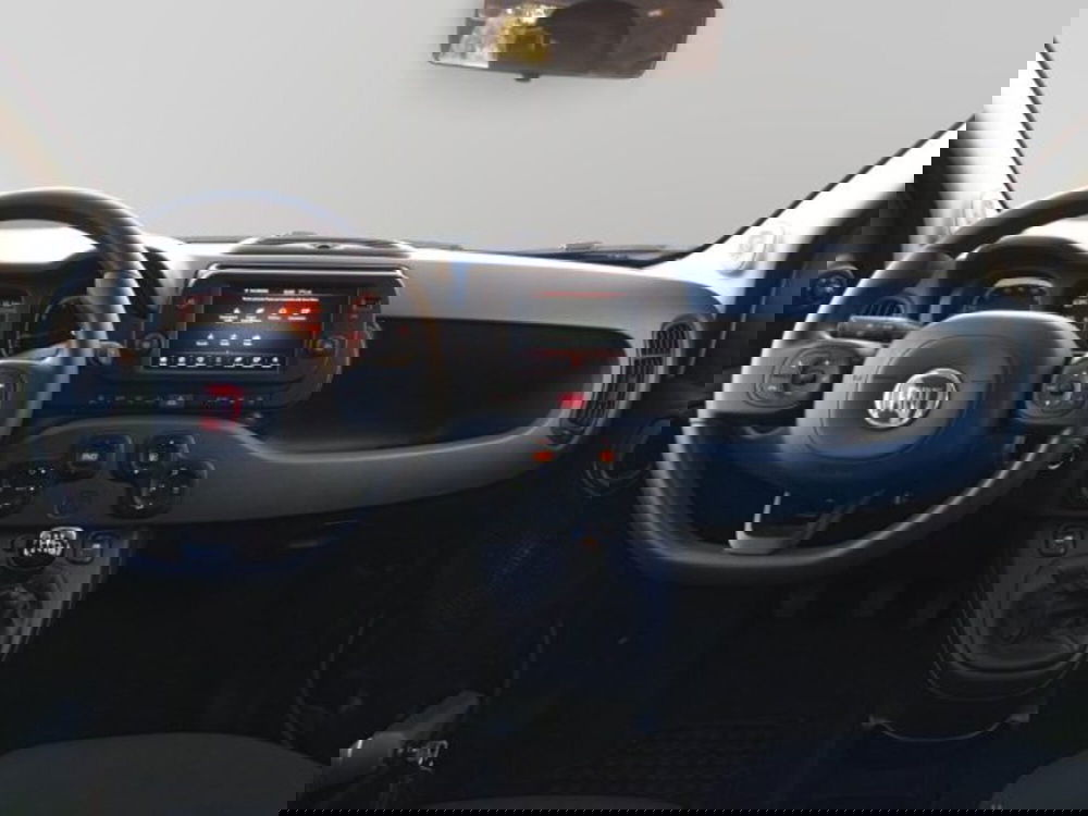 Fiat Panda Cross usata a Frosinone (18)