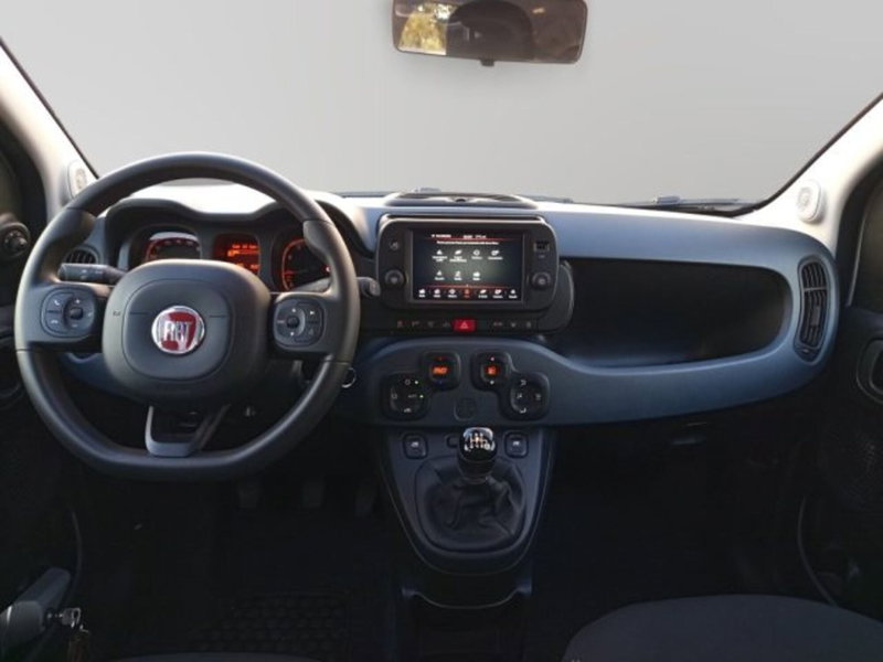 Fiat Panda Cross usata a Frosinone (8)