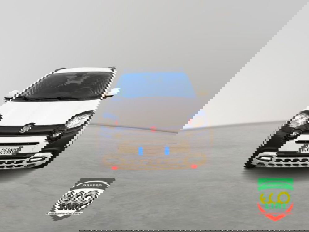 Fiat Panda Cross usata a Frosinone (2)