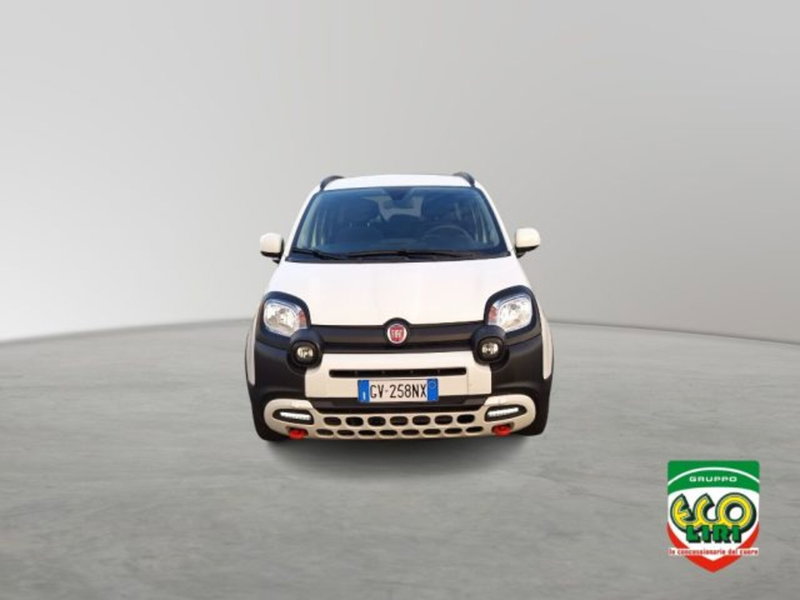 Fiat Panda Cross usata a Frosinone (2)
