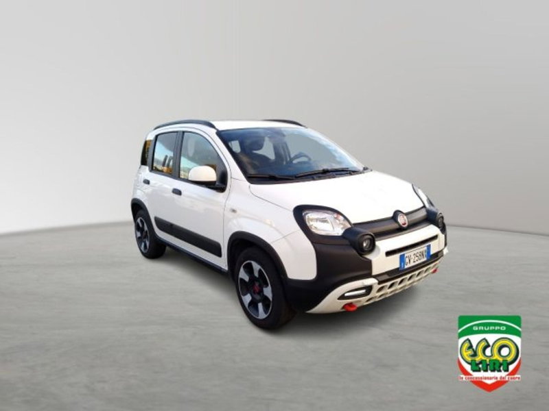 Fiat Panda Cross usata a Frosinone (3)
