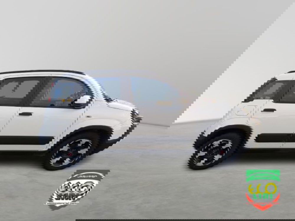 Fiat Panda Cross usata a Frosinone (4)