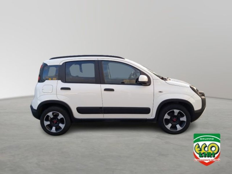 Fiat Panda Cross usata a Frosinone (4)