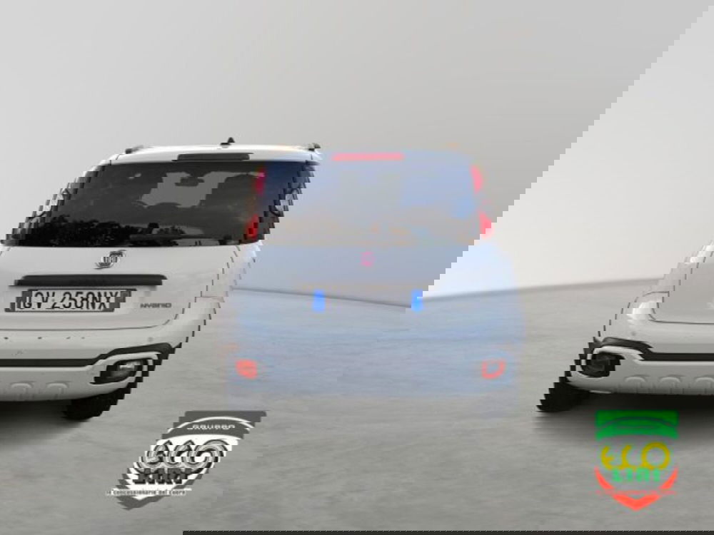 Fiat Panda Cross usata a Frosinone (5)