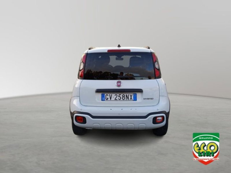 Fiat Panda Cross usata a Frosinone (5)