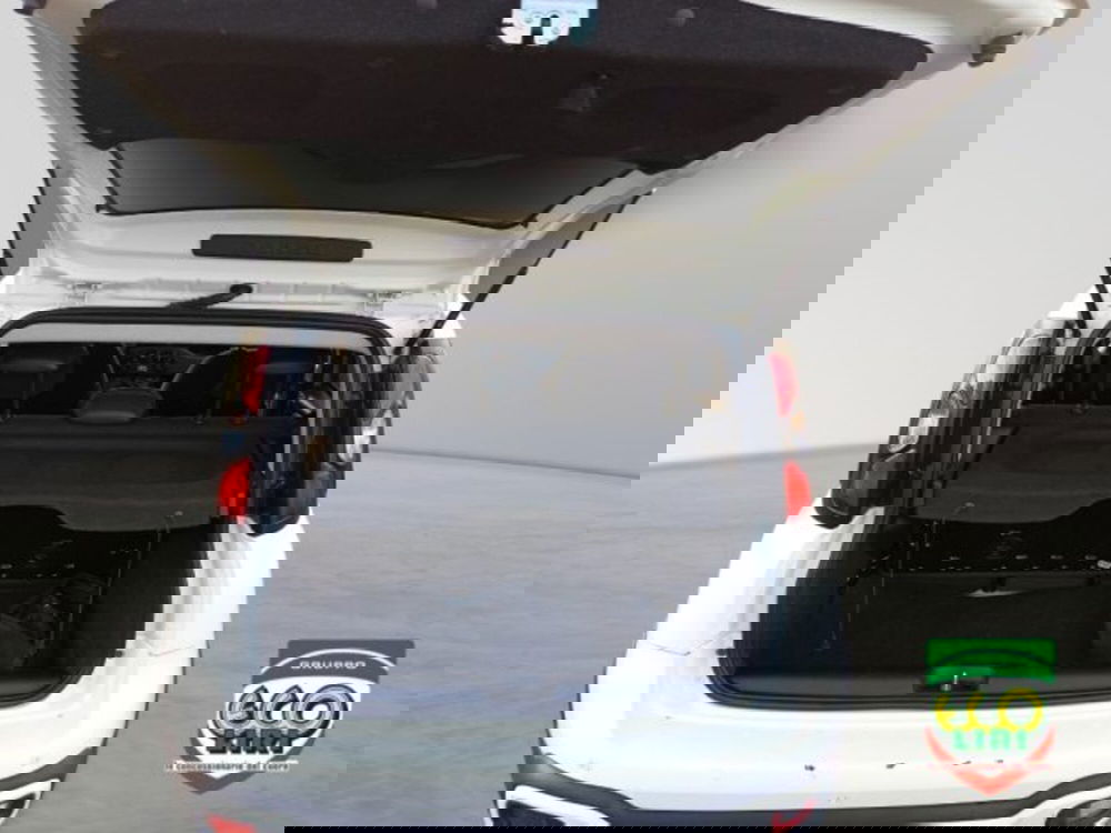 Fiat Panda Cross usata a Frosinone (6)