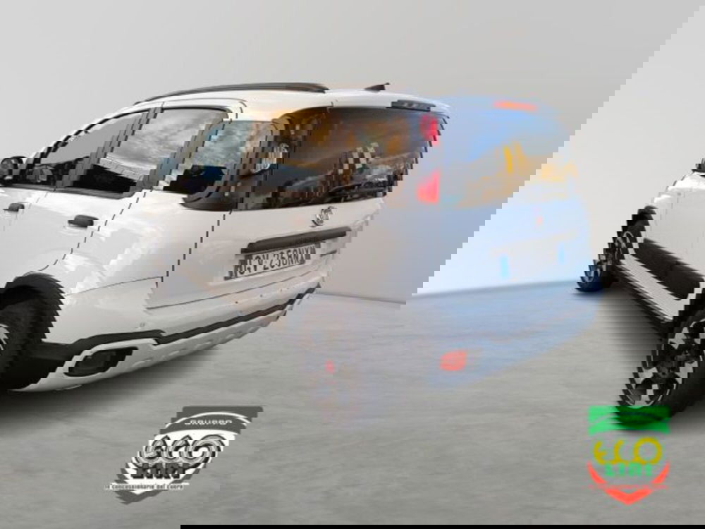 Fiat Panda Cross usata a Frosinone (7)