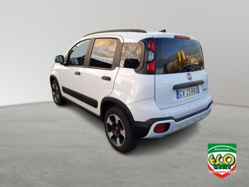 Fiat Panda Cross usata a Frosinone (7)