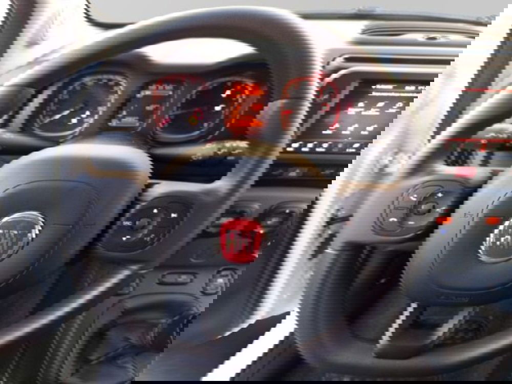 Fiat Panda Cross usata a Frosinone (9)