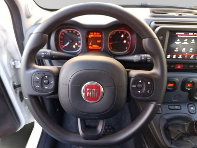 Fiat Panda Cross usata a Frosinone (16)