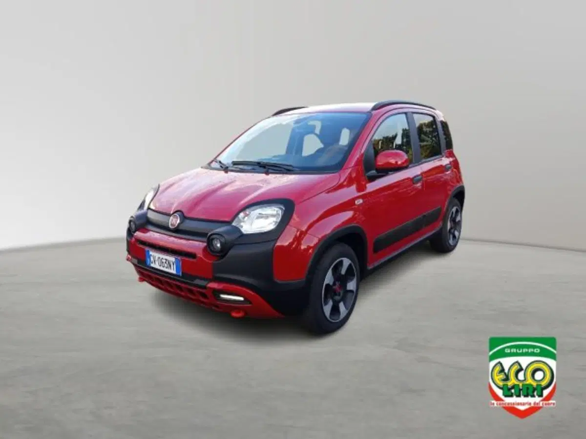 Fiat Panda Cross usata a Frosinone
