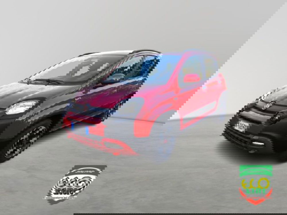 Fiat Panda Cross usata a Frosinone