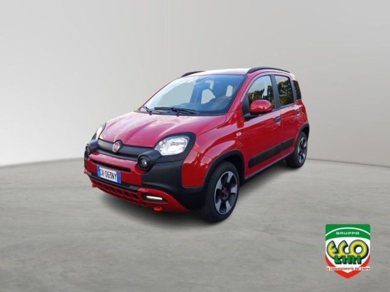 Fiat Panda Cross usata a Frosinone