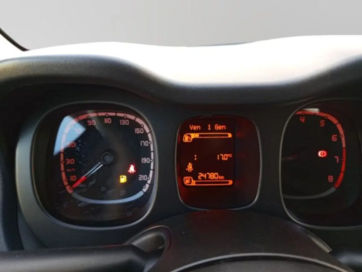 Fiat Panda Cross usata a Frosinone (17)