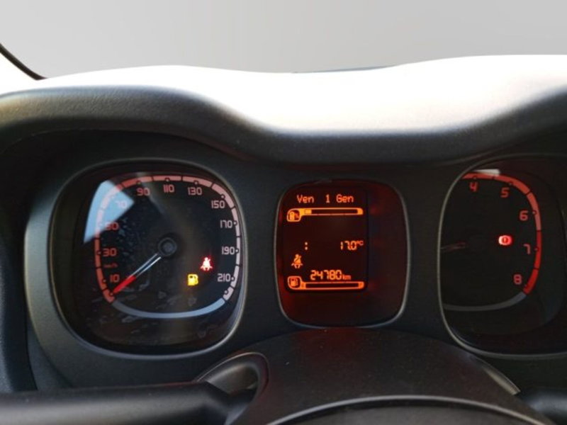 Fiat Panda Cross usata a Frosinone (17)