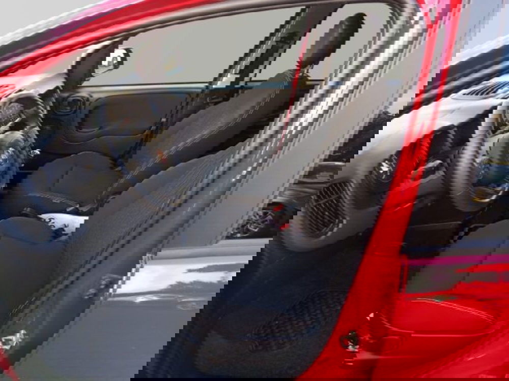 Fiat Panda Cross usata a Frosinone (11)