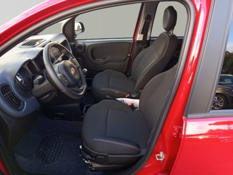 Fiat Panda Cross usata a Frosinone (9)