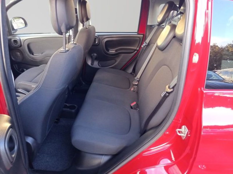 Fiat Panda Cross usata a Frosinone (10)