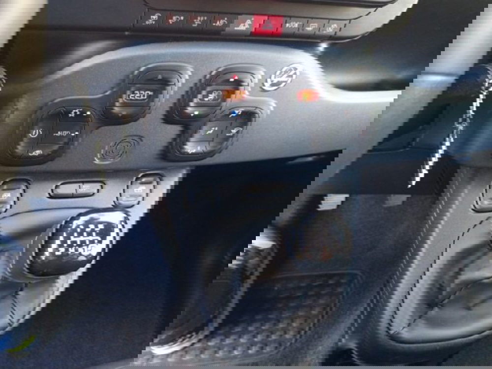 Fiat Panda Cross usata a Frosinone (14)