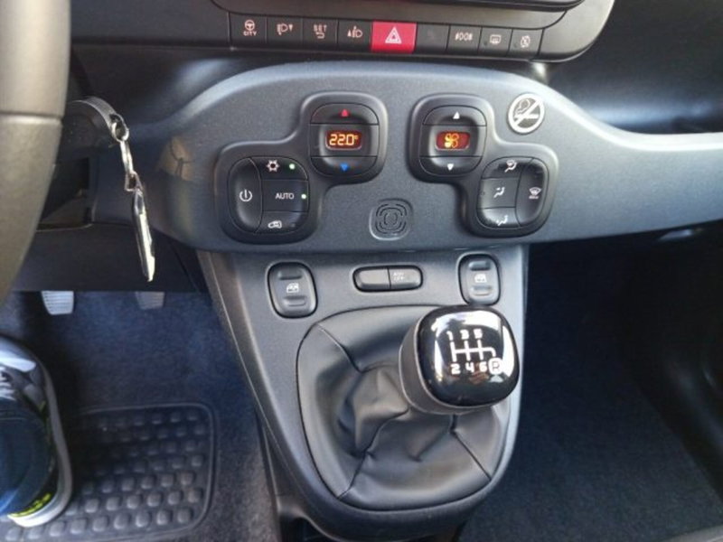 Fiat Panda Cross usata a Frosinone (12)