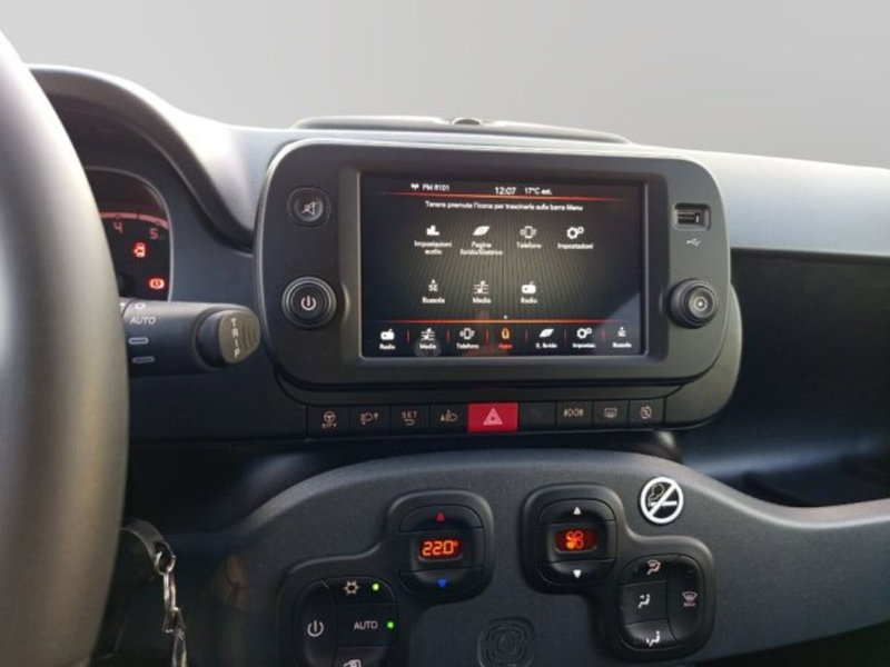Fiat Panda Cross usata a Frosinone (13)
