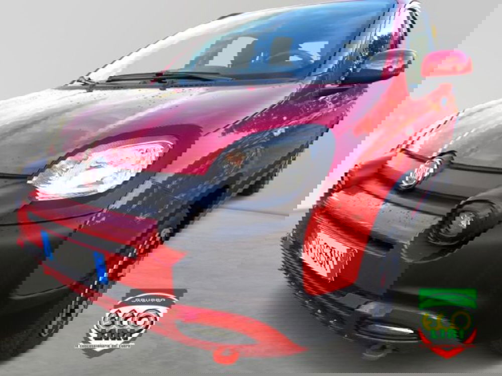 Fiat Panda Cross usata a Frosinone (16)