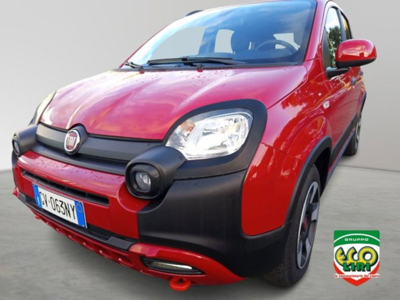 Fiat Panda Cross usata a Frosinone (14)